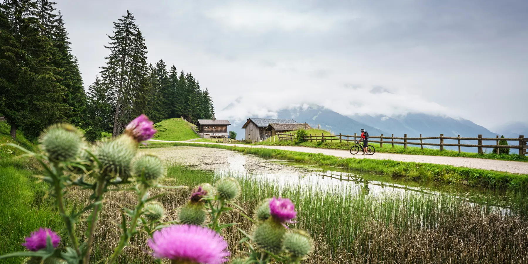 sonnenbalkon-tour-e-bike-vorarlberg-tourismus-dietmar-denger-2